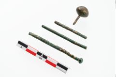 Foto von Bronzekugelkopfnadael (NHMW-PRAE-002245)